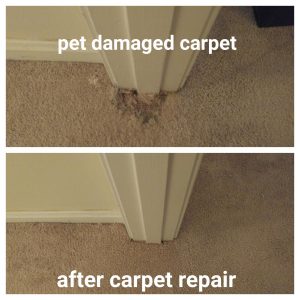carpet patching experts in Fort Lauderdale