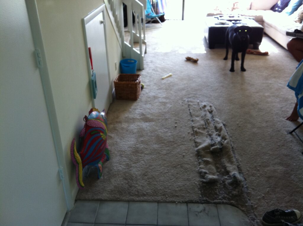 Fort Lauderdale Carpet Repair Before