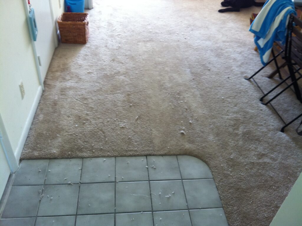 Fort Lauderdale Carpet Patching After